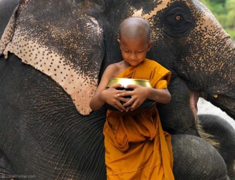 thailand-baby-buddha