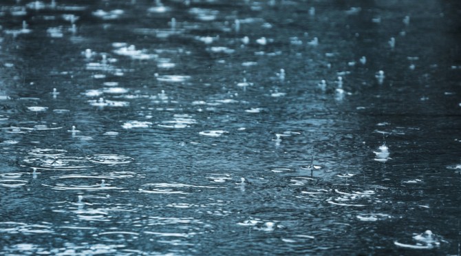 Freedom Rain