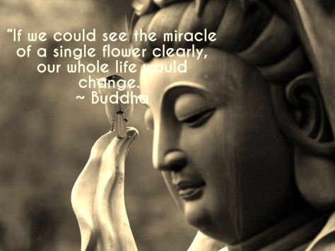 Buddha-Quotes-6