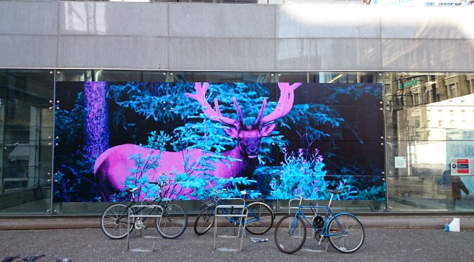 Elk Street Art Installation: Downtown Vancouver!