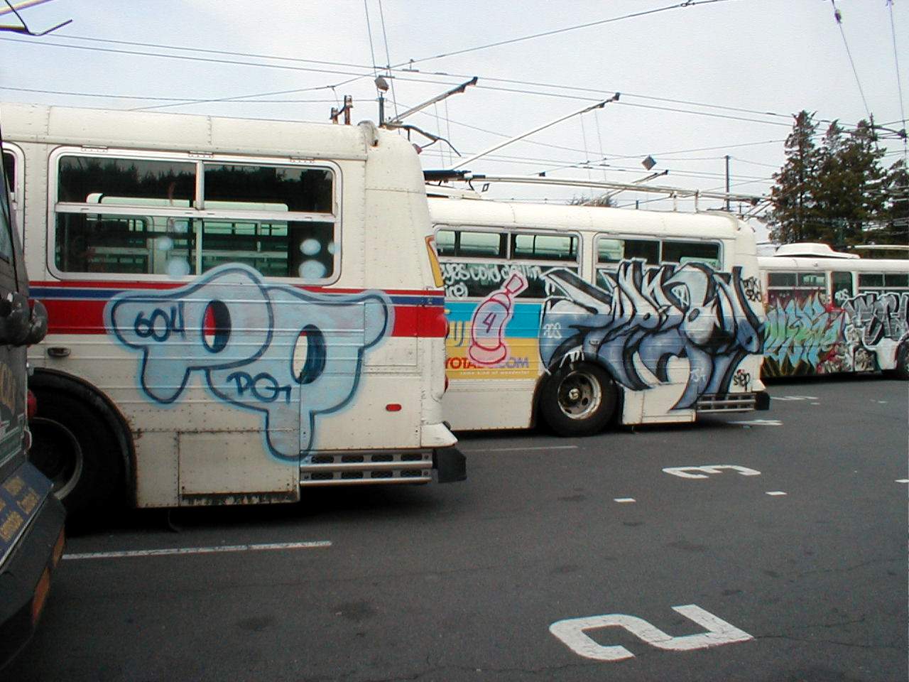 Vanc.graf.3