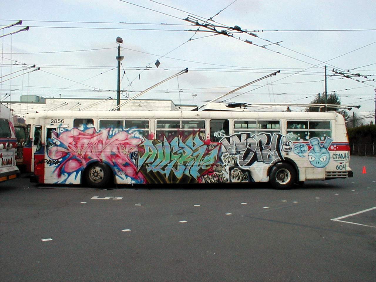 Vanc.graf.4