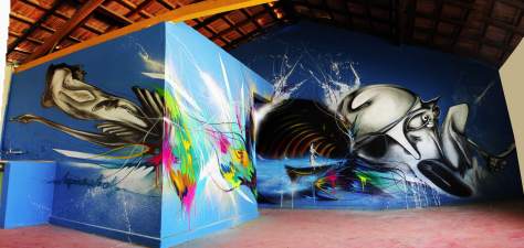 brasil_2013_seres00