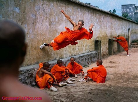 Shaolin-Monks-----What-Gravity.jpg
